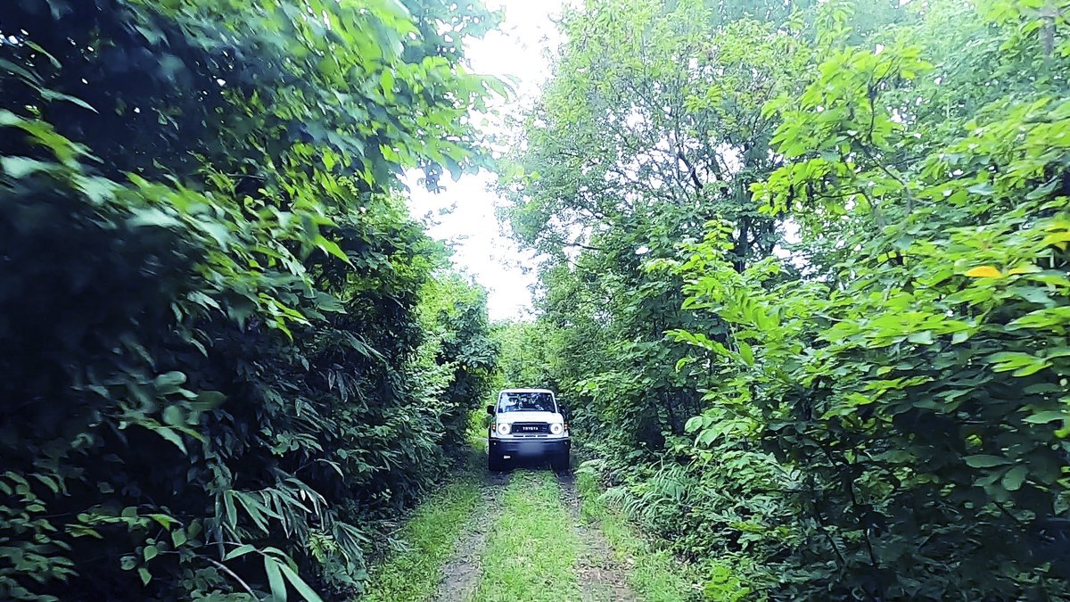 トヨタ自動車株式会社 on X