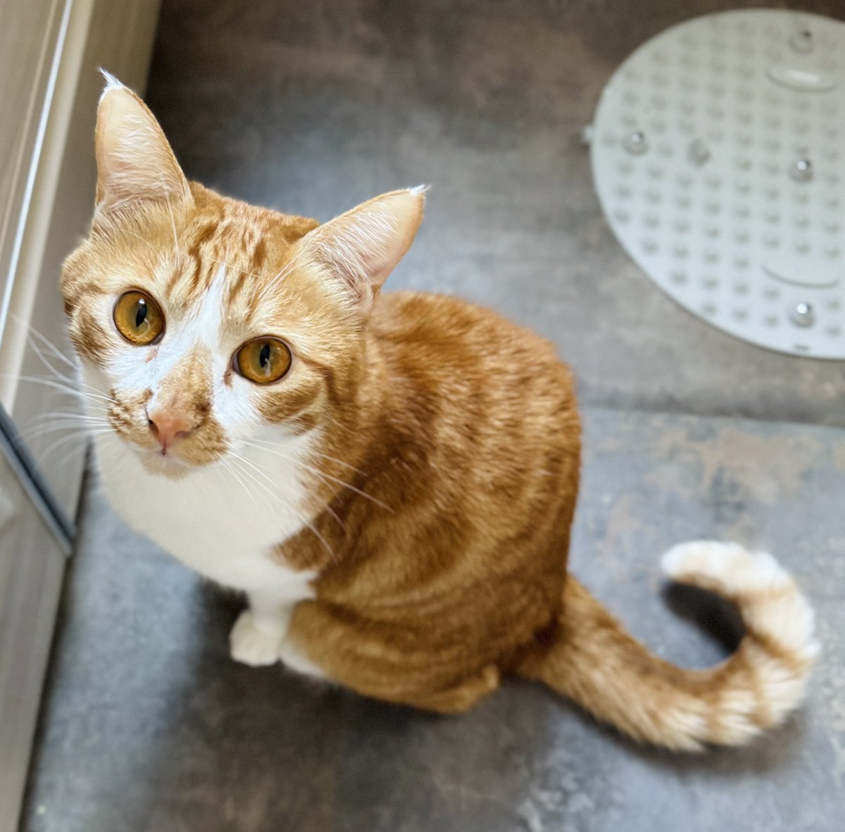 まりもページ まりもちゃん！と🧌 (@marimo2021915) / Posts / X