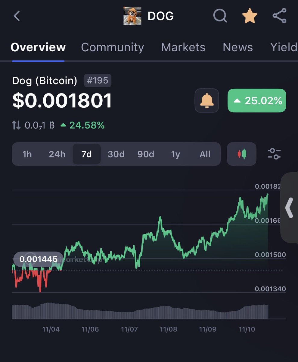 Will you look at that!! $DOG