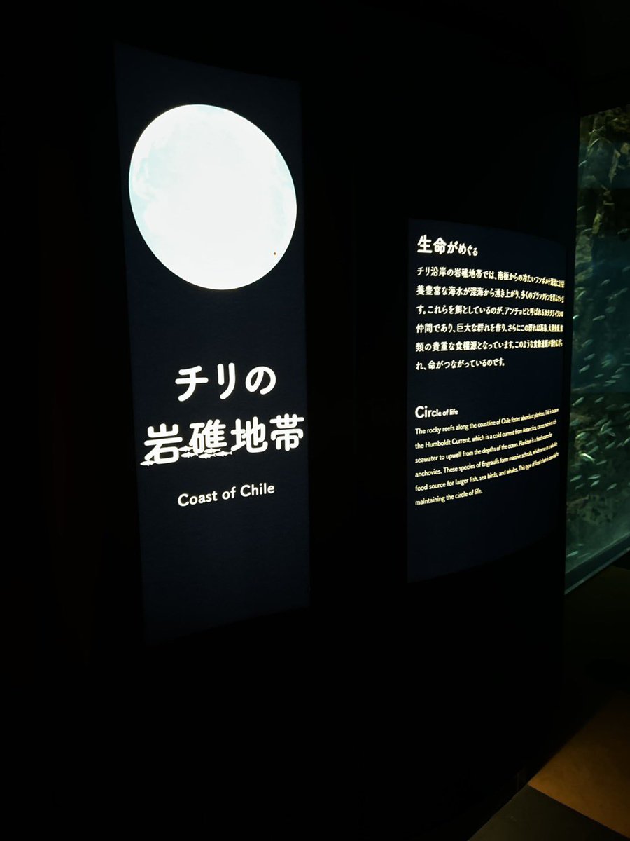 これは昨日大阪に行った身内から送られてきたチリ