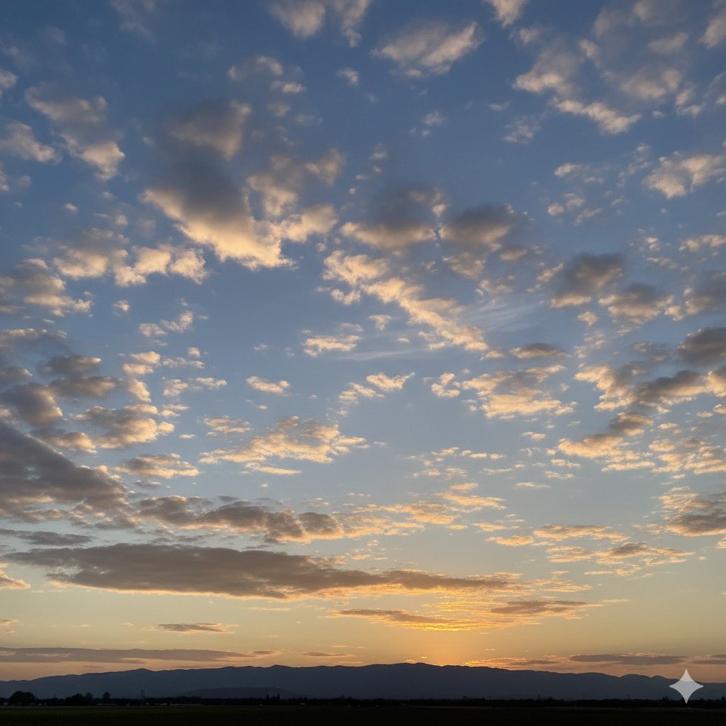 🤲 اللهم
ارزقنا في هذا اليوم حُسن التوكل عليك،
وصدق الإيمان بوعدك،
واجعلنا ممن إذا ضاقت بهم الدنيا،
فتحوا أيديهم للسماء وابتسموا،
لأنهم يعلمون أن الفرج منك قريب. 🤍
#صباح_الخير 
#صباح_الأشياء_المُشرقة