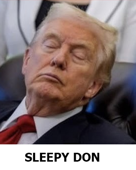 BigOrangeBully's tweet photo. #sleepydon https://t.co/1Lh9TySFCy