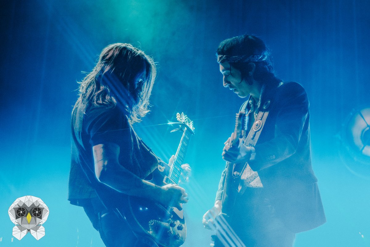 Blanca Lechuza 🦉 tweet media