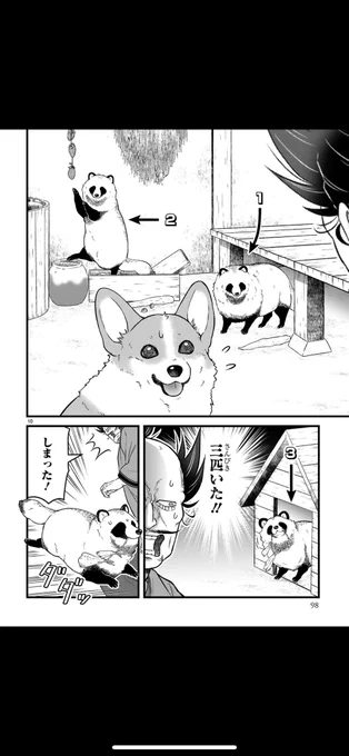 『#殿と犬』単行本4巻収録の、たぬき三兄弟に翻弄されるお話の一部をご紹介しました🐶単行本5巻のカバーにもなぜかたぬきが大出世♪

https://t.co/Ef2ix3Qgqp 