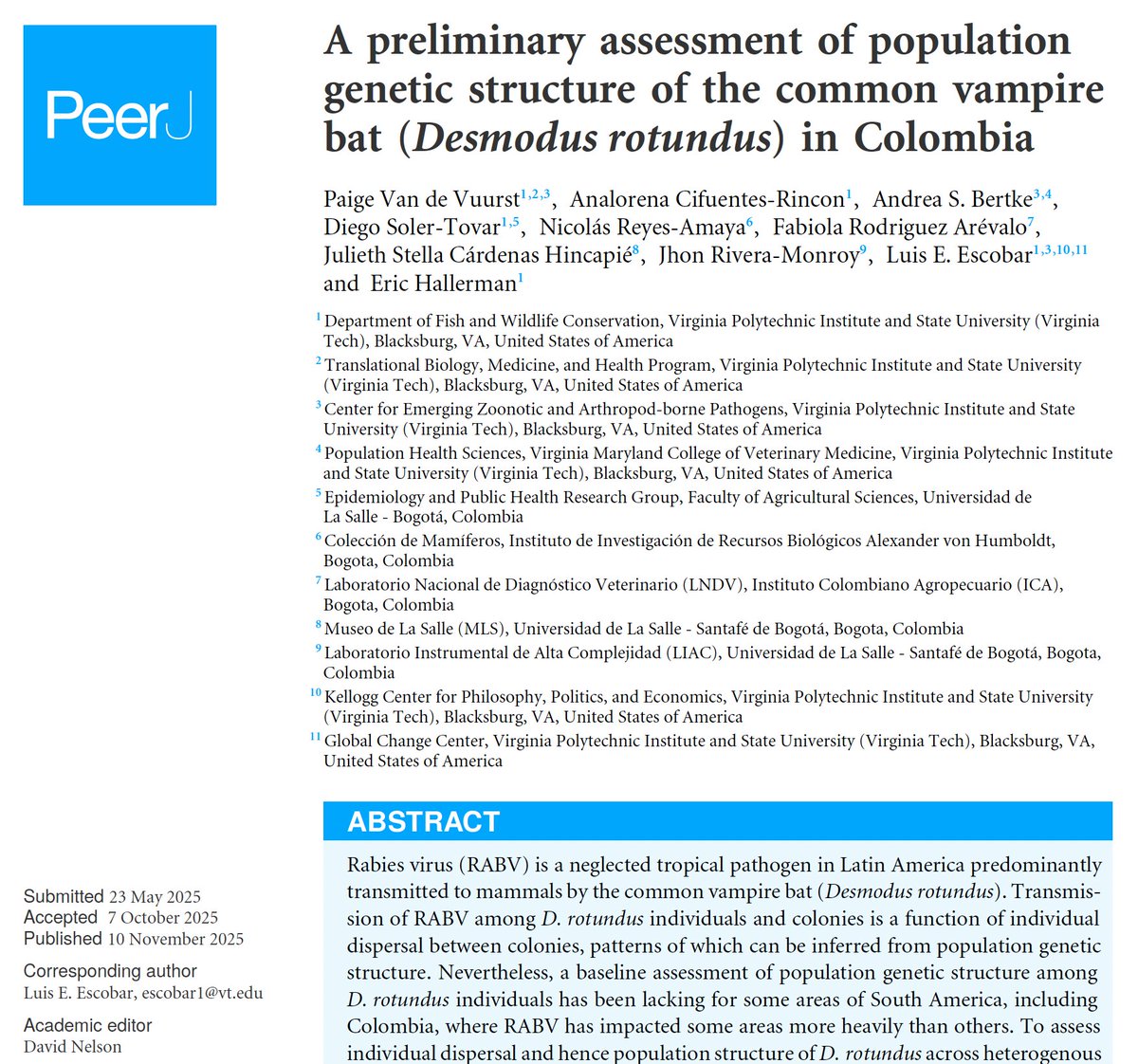 We're sharing our latest publication on the population genetic structure of the common vampire bat (Desmodus rotundus) in Colombia <a href="/Pvandevuurst/">Paige Van de Vuurst 🦇🌡️🌎</a> <a href="/dsolert/">Diego Soler-Tovar</a> <a href="/Luis_Escobar_VT/">Luis E. Escobar</a> <a href="/vt_fishwild/">VT FISHWILD</a> <a href="/inst_humboldt/">Instituto Humboldt</a> <a href="/ICACOLOMBIA/">ICA Colombia</a> <a href="/unisalle/">Unisalle</a> <a href="/PeerJLife/">PeerJ - the Journal of Life & Environment</a> peerj.com/articles/20306 #Biogeography #Ecology