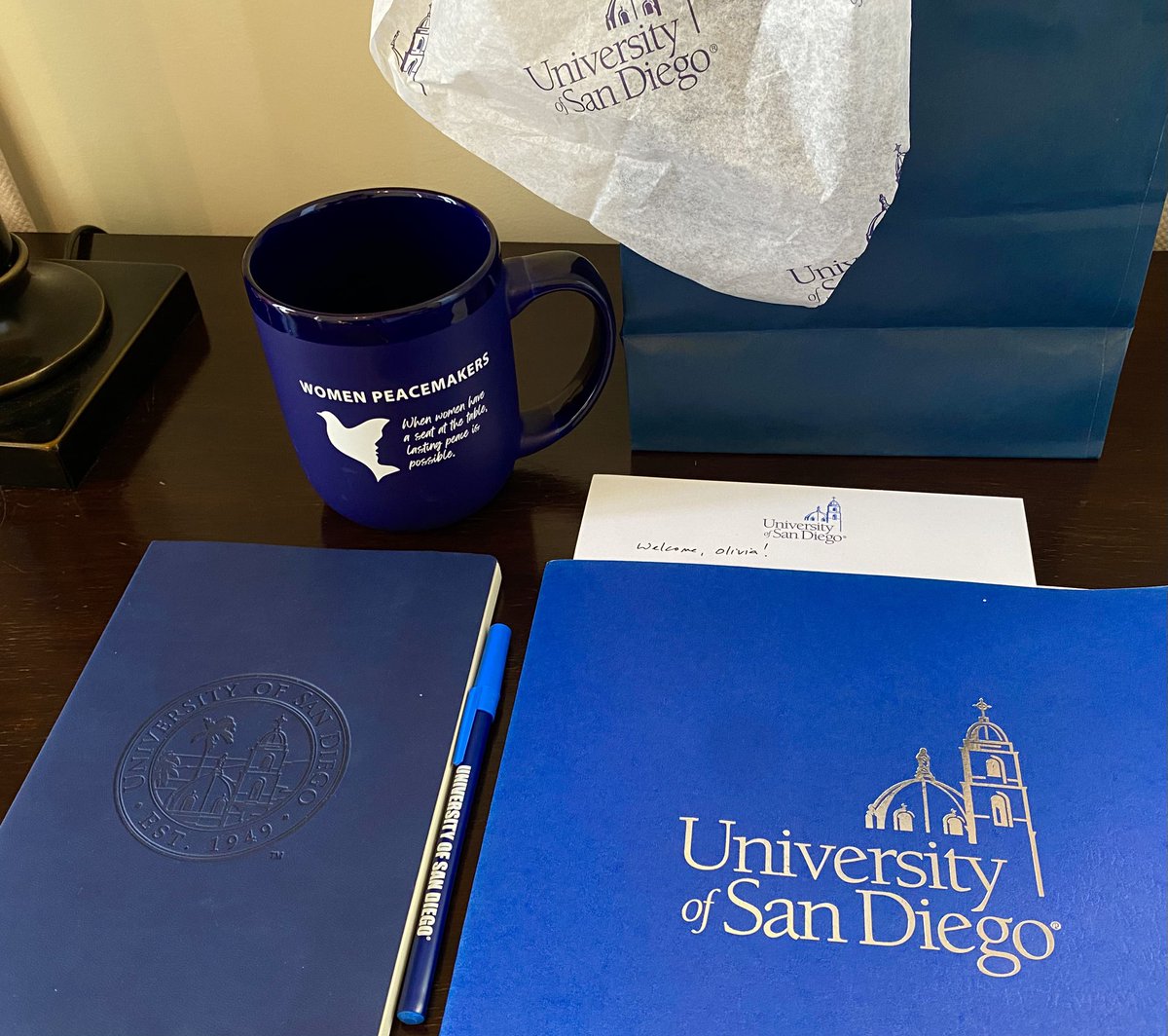 In California, USA🇺🇸thanks to University of San Diego. My research focuses on digital borders and gendered data extractivism, investigating how technology-facilitated violence manifests within migration governance systems.
