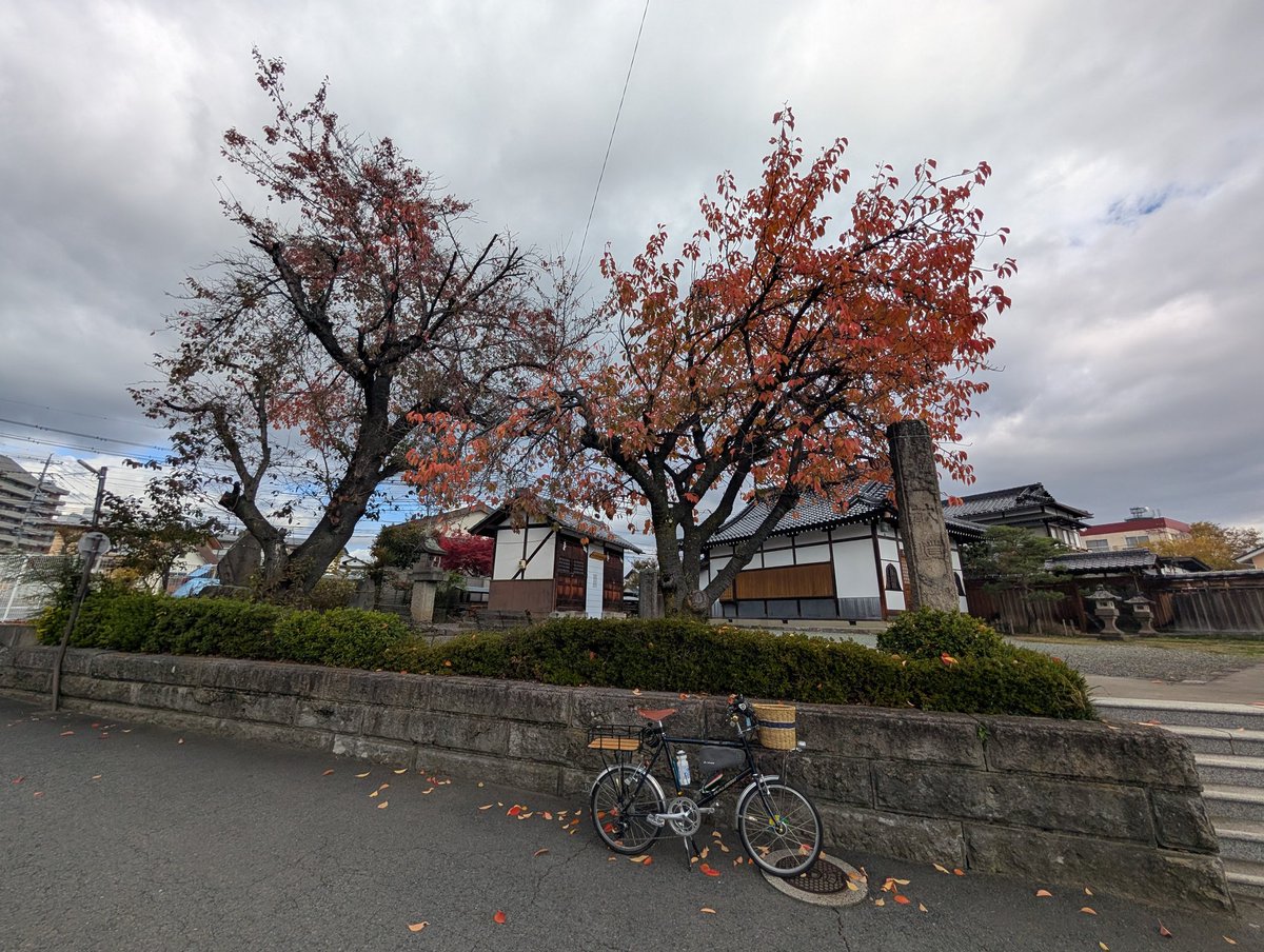 Araya Industry retirarà la importació i venda de biciclet