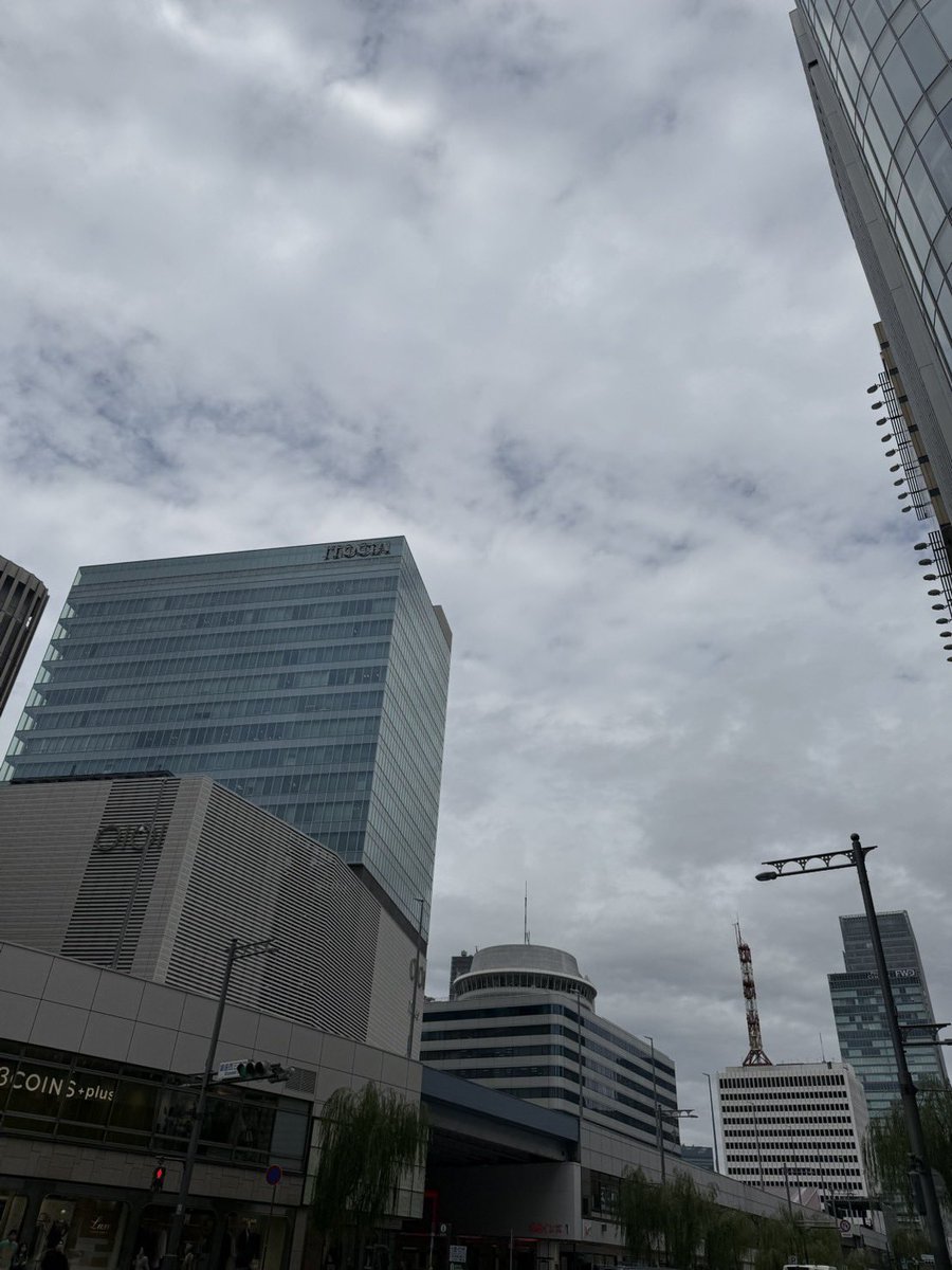 雨上がりのマジョール広場の片隅 Post by 東京YS on X: 横移動してる😱