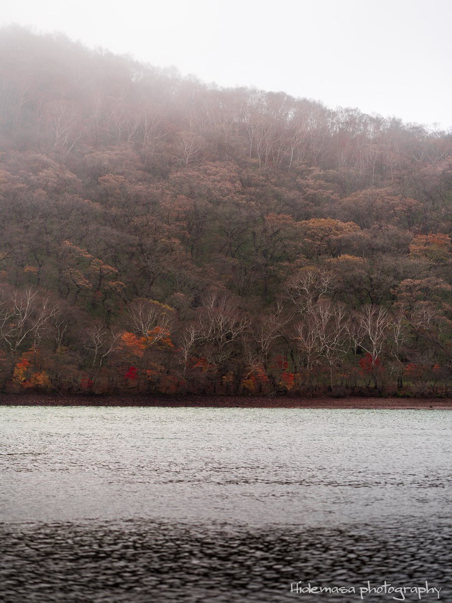 Hi_DesignFocus's tweet image. 小沼の紅葉

[2025.11.1]

#赤城山 
#紅葉 🍁
#ぐんま応援びと
#ぐんまの風景