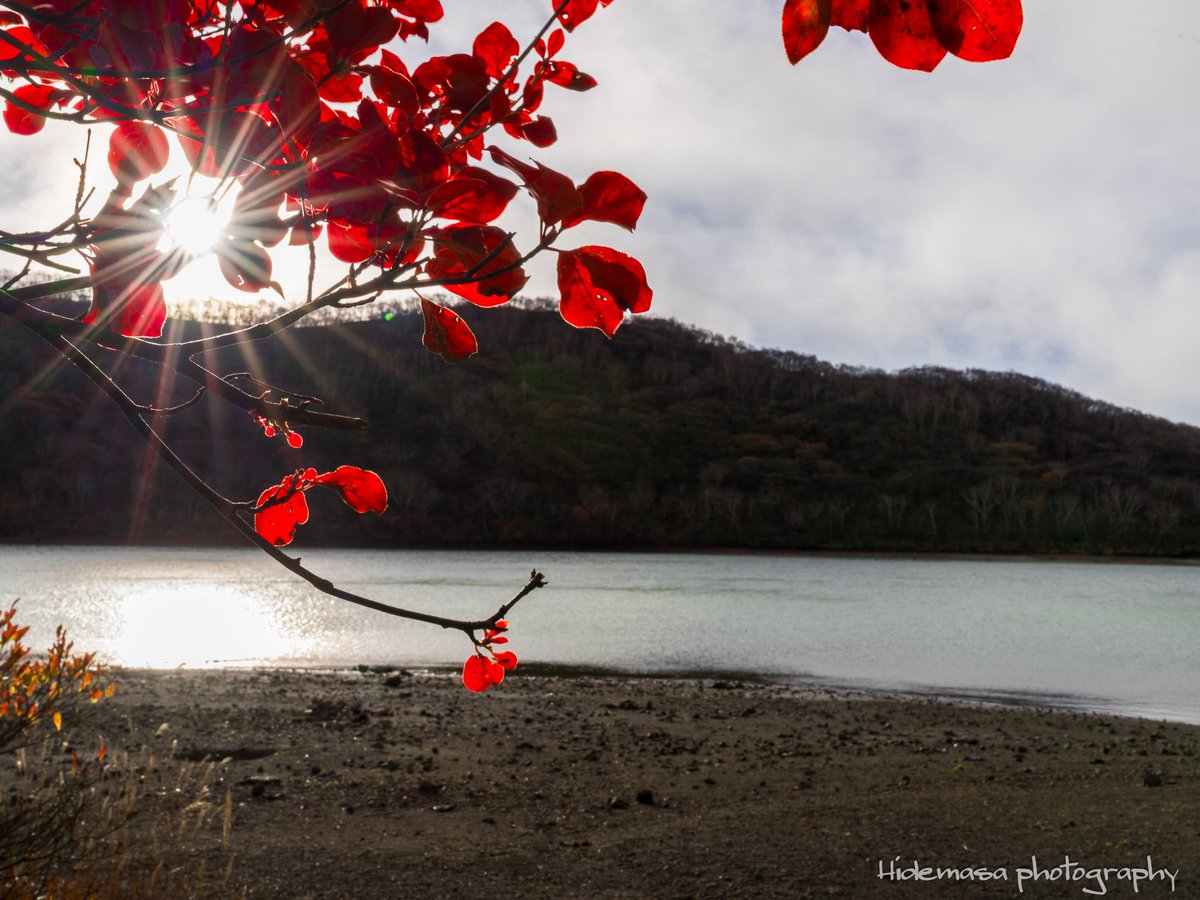 Hi_DesignFocus's tweet image. 小沼の紅葉

[2025.11.1]

#赤城山 
#紅葉 🍁
#ぐんま応援びと
#ぐんまの風景