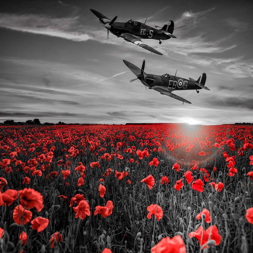 They shall grow not old, as we that are left grow old:
Age shall not weary them, nor the years condemn.
At the going down of the sun and in the morning
We will remember them.
#WeWillRemember
#LestWeForget