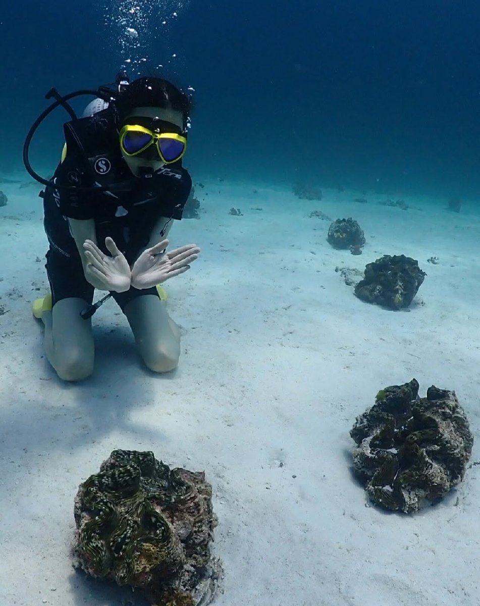 obnlpsrf's tweet image. 魚たちと共に泳ぐ朝😊