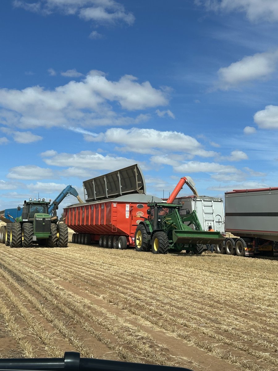 All systems are a go at this Sea Lake harvest operation 💪 So much preparation leads to this moment—cheers to everyone making it happen and bringing in this year's crop! 🌾🚜

#harvest2025
