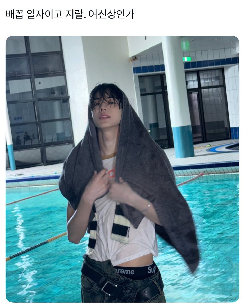 🐈‍⬛ tweet media