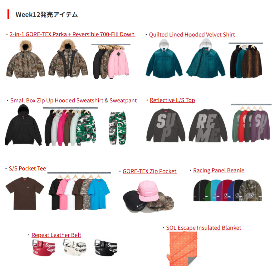 Supreme '25F/W Week12 ※今週のレギュラーアイテムが発表 2in1