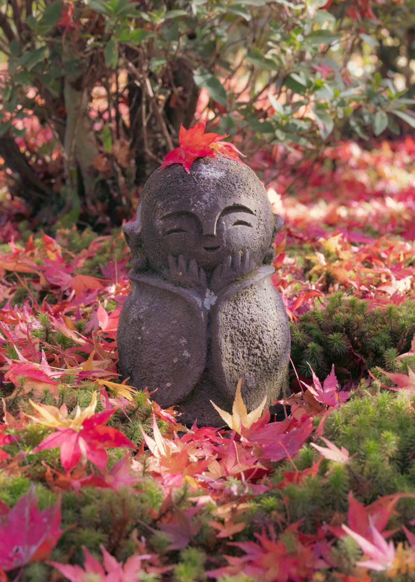 ほっこり笑顔になる秋。