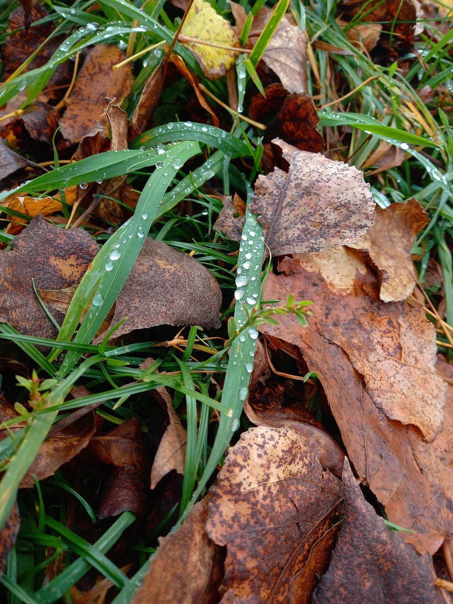 .
Guten Morgen ihr Lieben in der Welt 🌎
.
#GutenMorgen 
#goodmorning 
Im Frühtau zu Berge wir ziehen, fallera
.