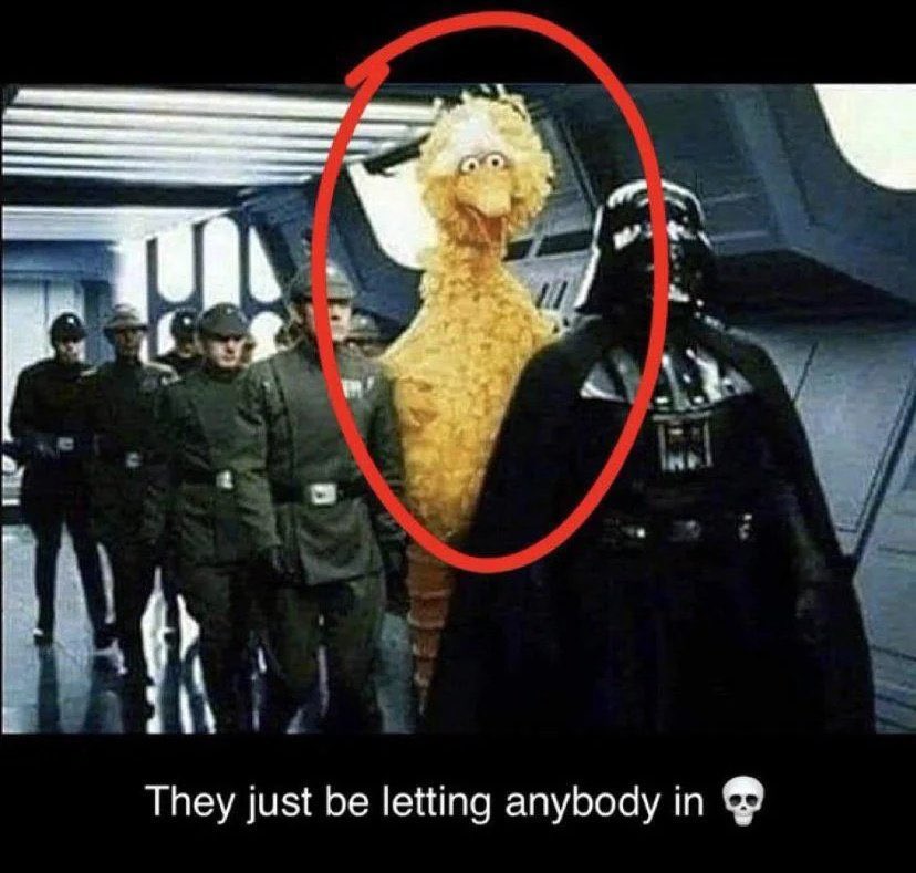 wie die lev-sau gl in köln aufschlägt