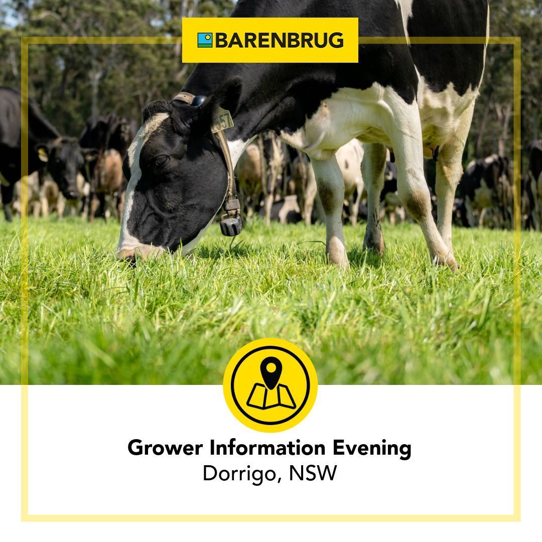 Dorrigo! Our team are heading your way for a evening of agronomic insights, local updates and information about our top-performing FVI ryegrass varieties.
📅 Wednesday, 12th November
🕠 From 5:30pm
📍 Dorrigo Pub 

Message us to save your spot.