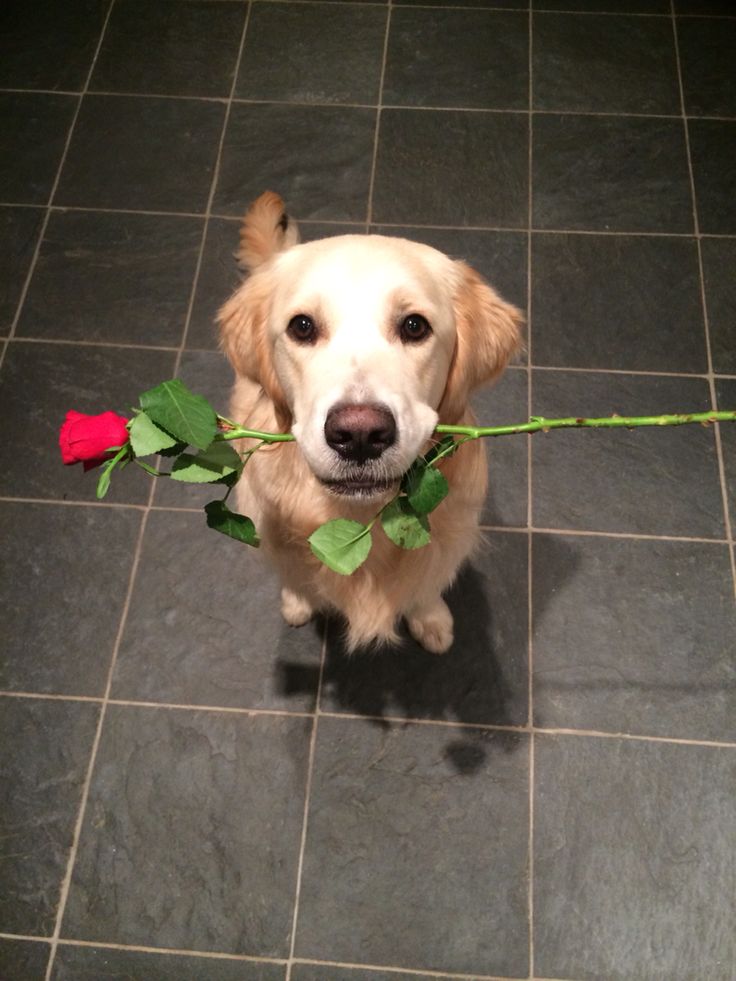 GM CT

I hope y'all had an amazing night, let's do more today,

<a href="/SentientAGI/">Sentient</a> is still making interesting waves,  remember they're pushing the Open AGI narratives, 

it's more like putting AGI in the hands of people, unlike the popular closed AI we have around now.

you should