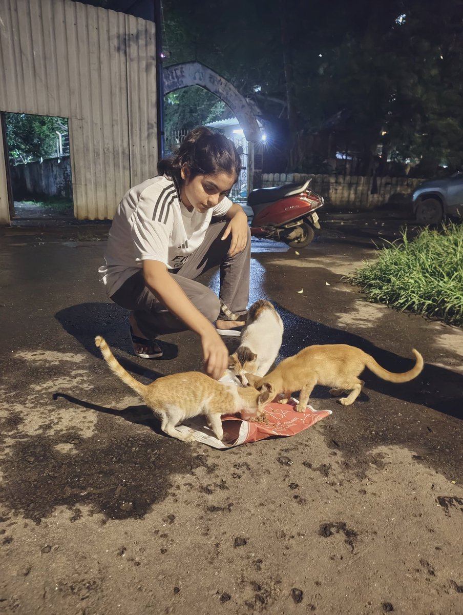 rcdashisar's tweet photo. Every act of kindness counts. From sharing a smile to feeding a stray, let’s make compassion trend.
#projectkindnessRCDC
#RCDCSMPL #socialmediapremiumleague #smpl #rotaract #Mumbai #dahisar 
join the movement! https://t.co/VuDIRLUDi8
