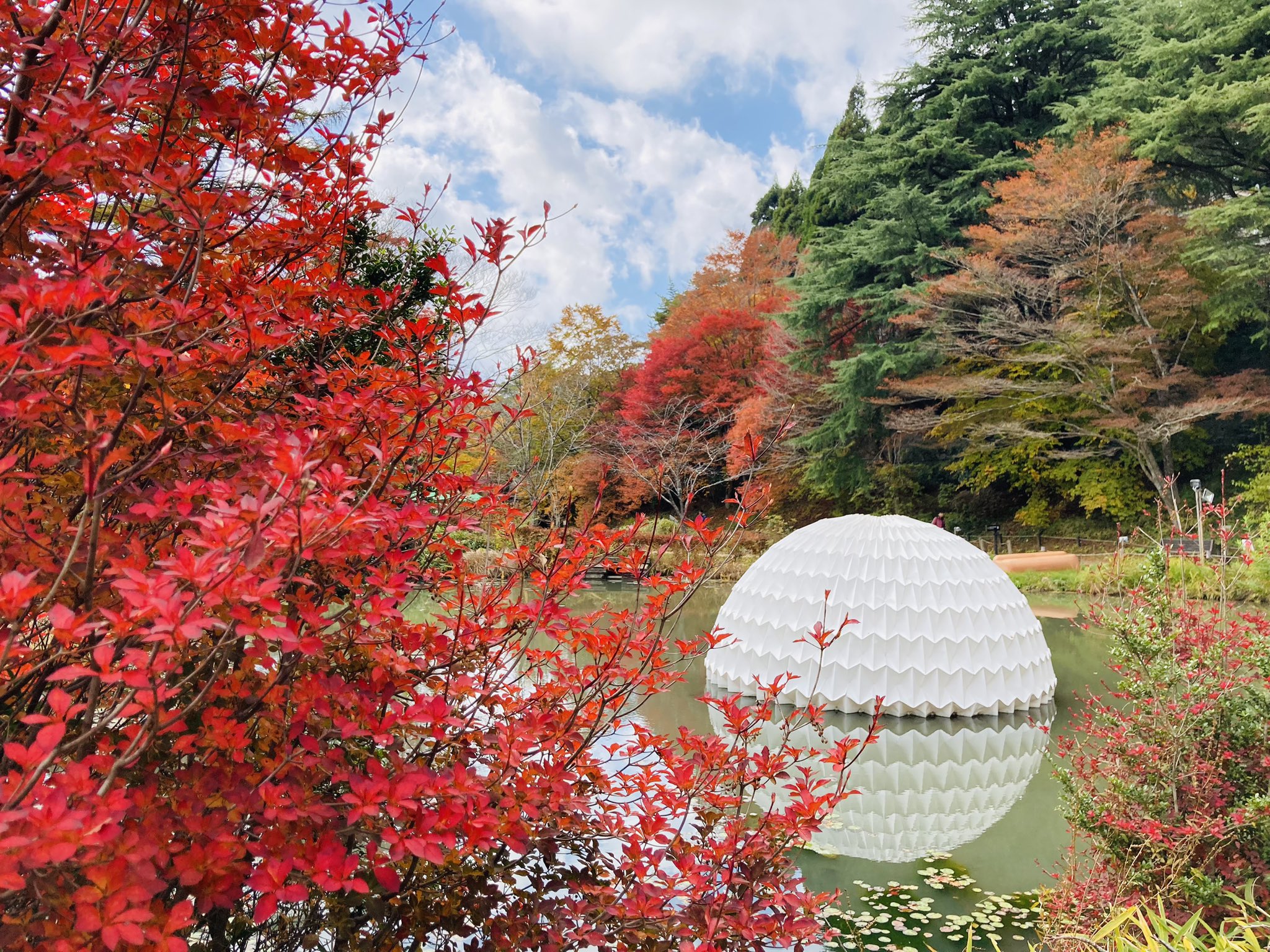 シロモジ - Search / X