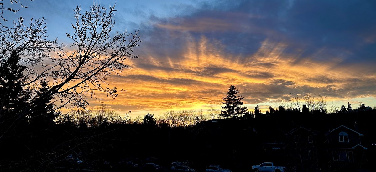 Patrick Baillie (“Doc”) tweet media