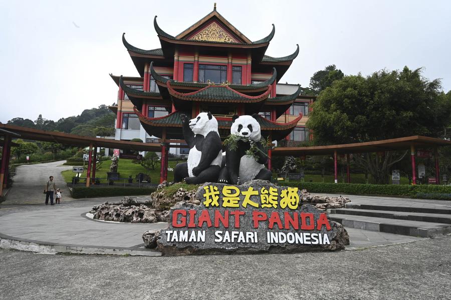 ChinaDaily's tweet image. Nestled on a lush hillside about 1,800 meters above sea level, the #Panda Palace is one of the most popular attractions in Taman Safari #Indonesia. 

Designed with a blend of natural landscape and Chinese architectural aesthetics, the complex features curved roofs, red pillars,…