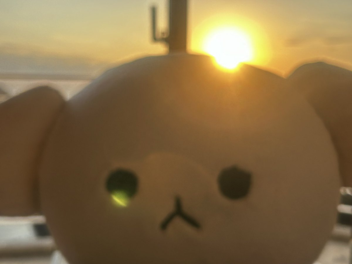 ツムギ (@aoki_mofu) on Twitter photo 