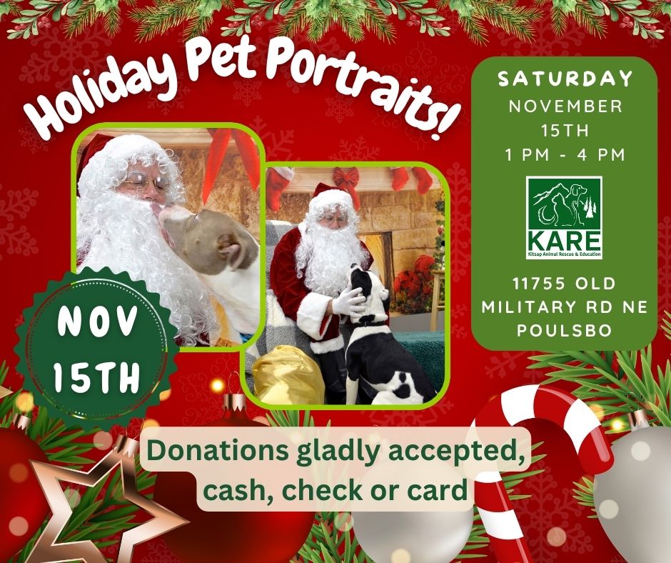 Santa is HERE! - mailchi.mp/d6c139f97d4e/k…