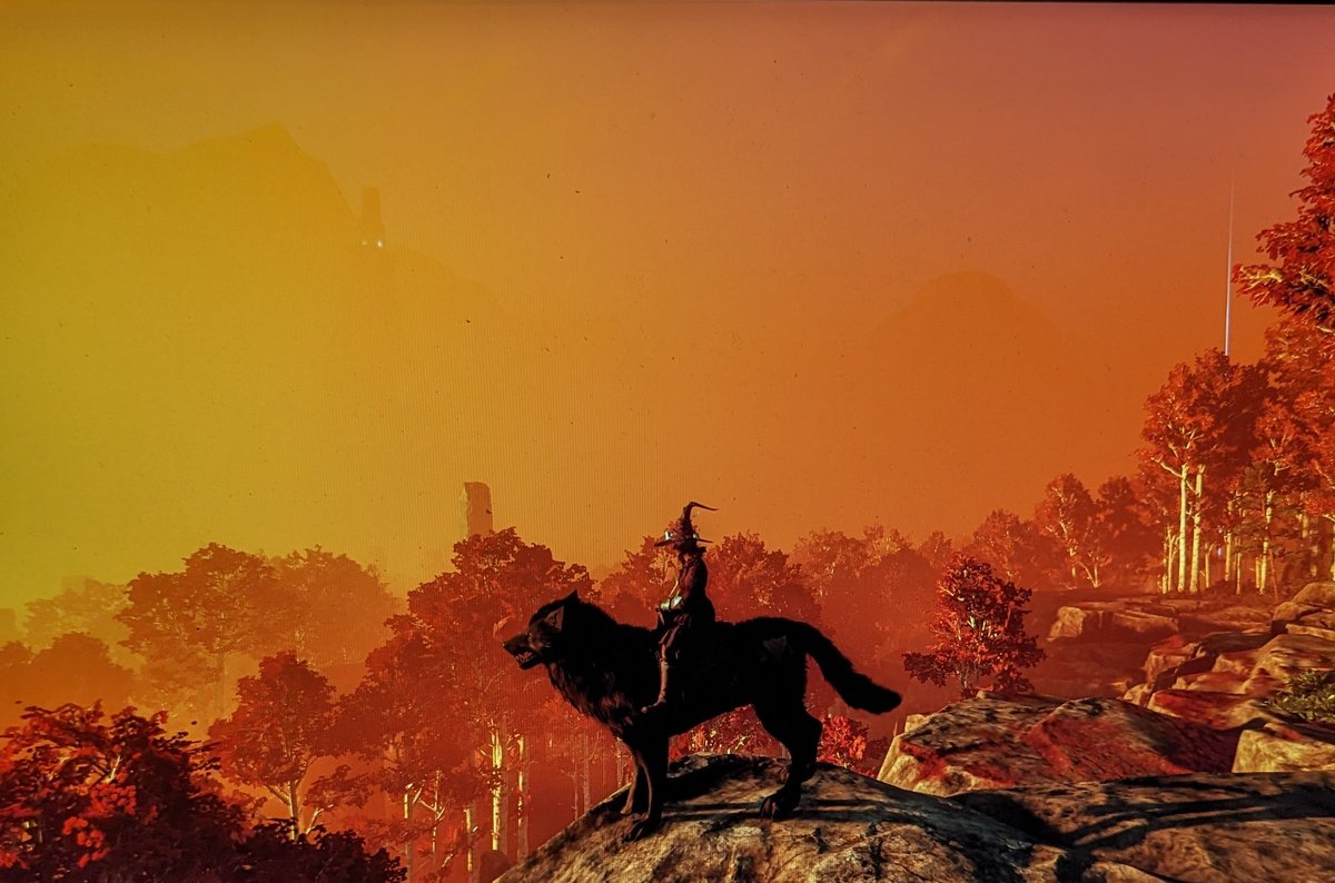 Sunset in Aeternum <a href="/playnewworld/">New World: Aeternum</a> my witchy vibes, taking my wolf, Puppers, out for a ride. #Valhalla #SoulSentinels #untilthefiresburnout