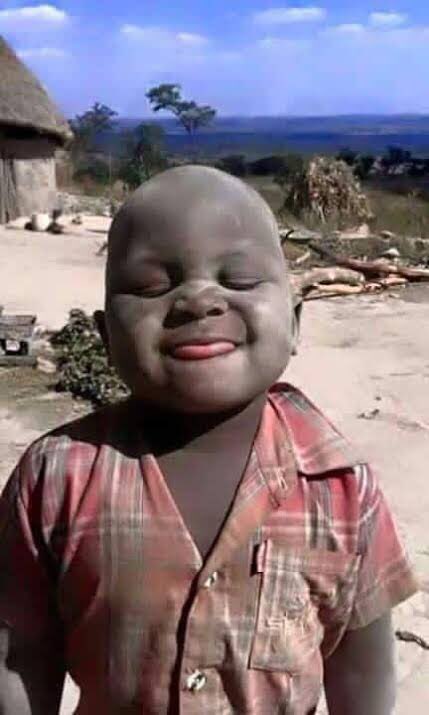 Futa Sis tweet media