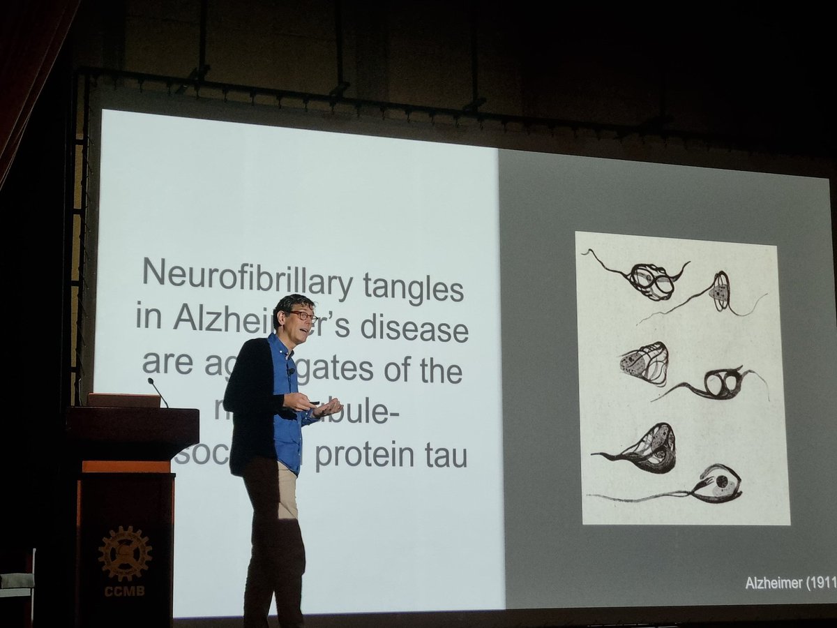 SwastiLab's tweet photo. SESSION IN PROGRESS! We begin Day 2 #EMBOCCMB25 as @hipp_Lab unpacks the complexity of protein aggregation, commenting on the differential quality control mechanisms depending on the proteins subcellular localization. @EMBO @ccmb_csir https://t.co/5hMJgf9hno