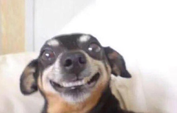 itzelsandovaal's tweet image. after this weekend, back to solitude