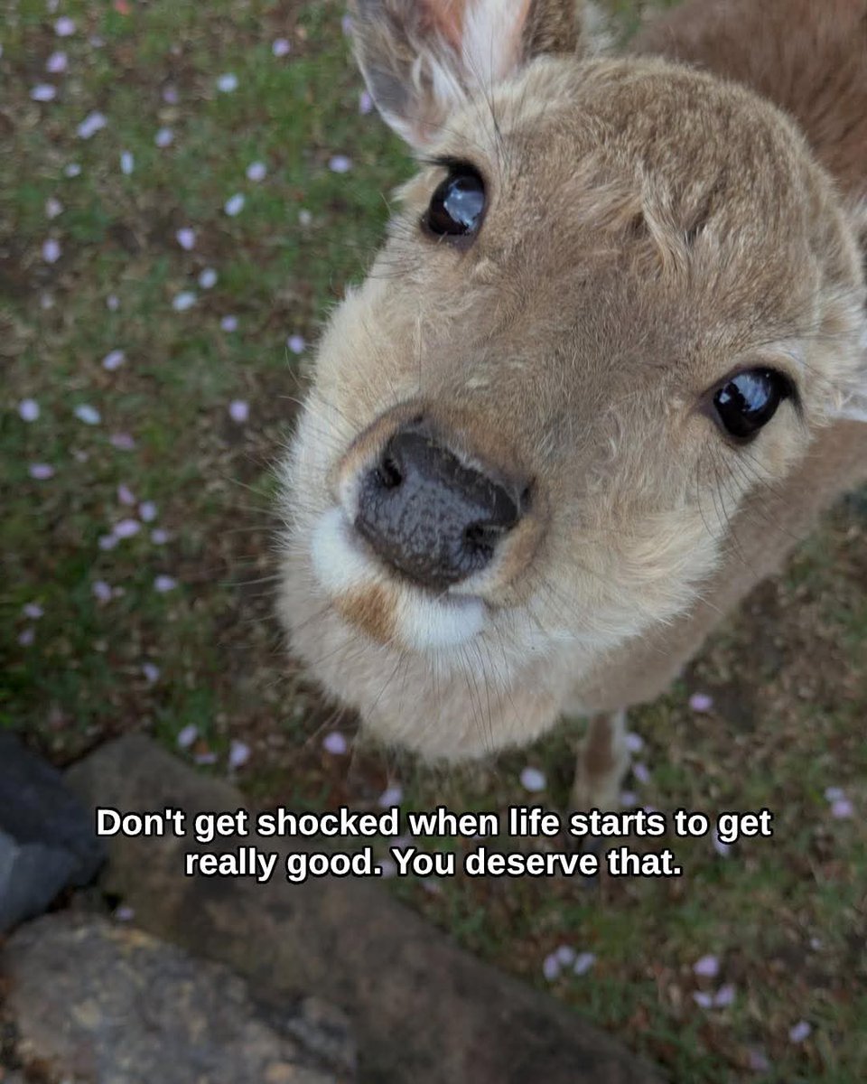 smmo2a (@smooo2aaa) on Twitter photo 