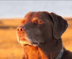 YahooFantasy's tweet image. When the one player in this game you're playing against in fantasy is DeVonta Smith