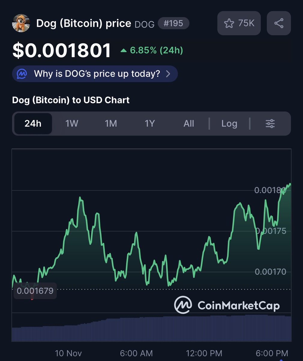 midnyt.sats 🧡 $DOG (@marauder_nft) / Posts / X