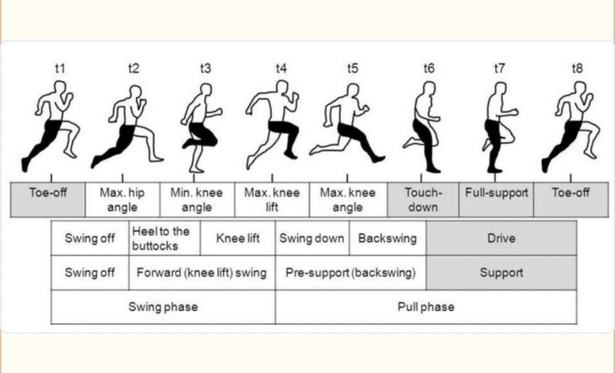 divean1770's tweet photo. @dr_jump_uk It would be aesthetically &amp; technically accurate to have the model’s right leg at 90 degrees during toe off. Please see the graphic below. Thank you for your kindness &amp; understanding. https://t.co/cfCXxDw6Iw