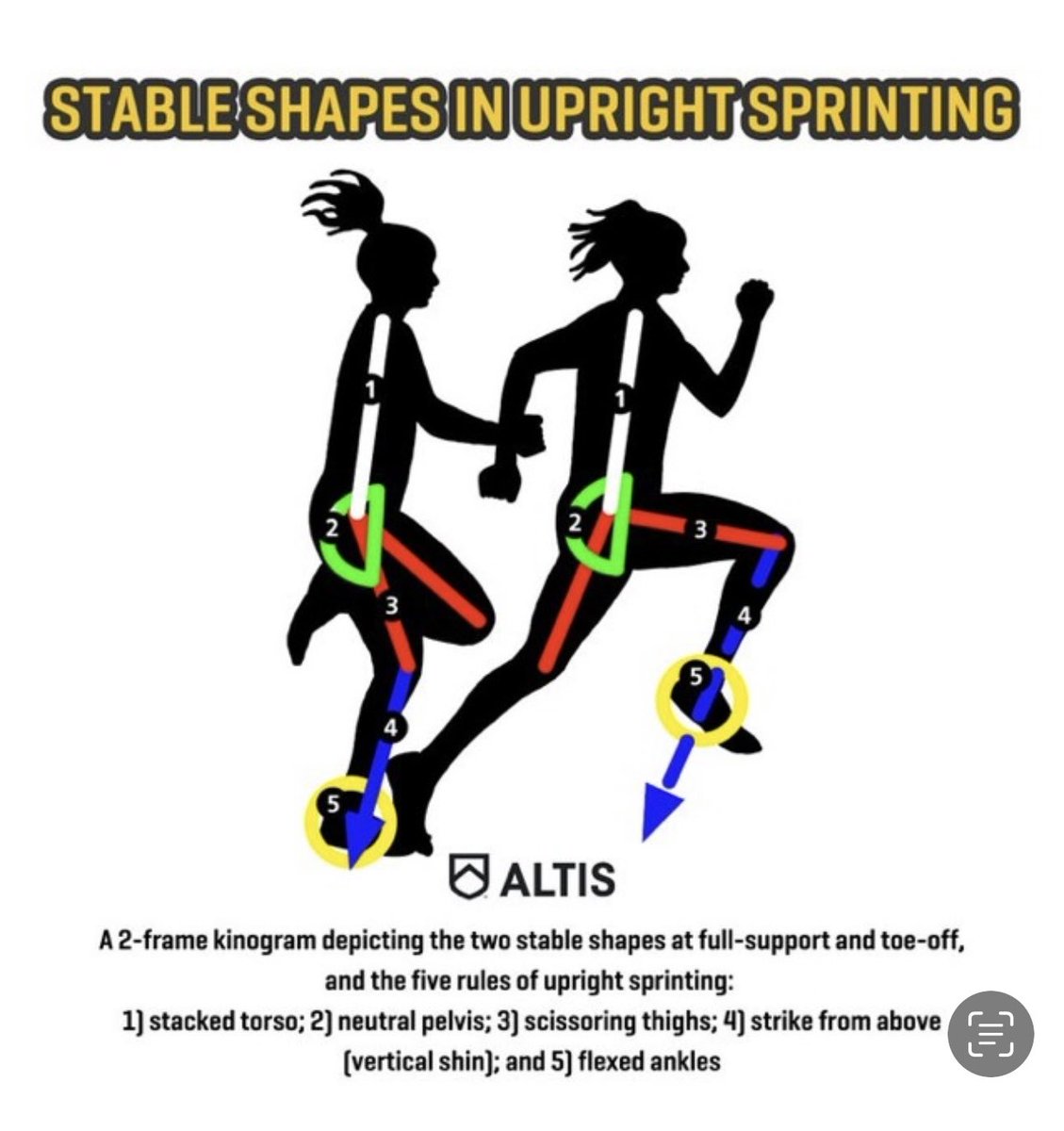 divean1770's tweet photo. @dr_jump_uk It would be aesthetically &amp; technically accurate to have the model’s right leg at 90 degrees during toe off. Please see the graphic below. Thank you for your kindness &amp; understanding. https://t.co/cfCXxDw6Iw