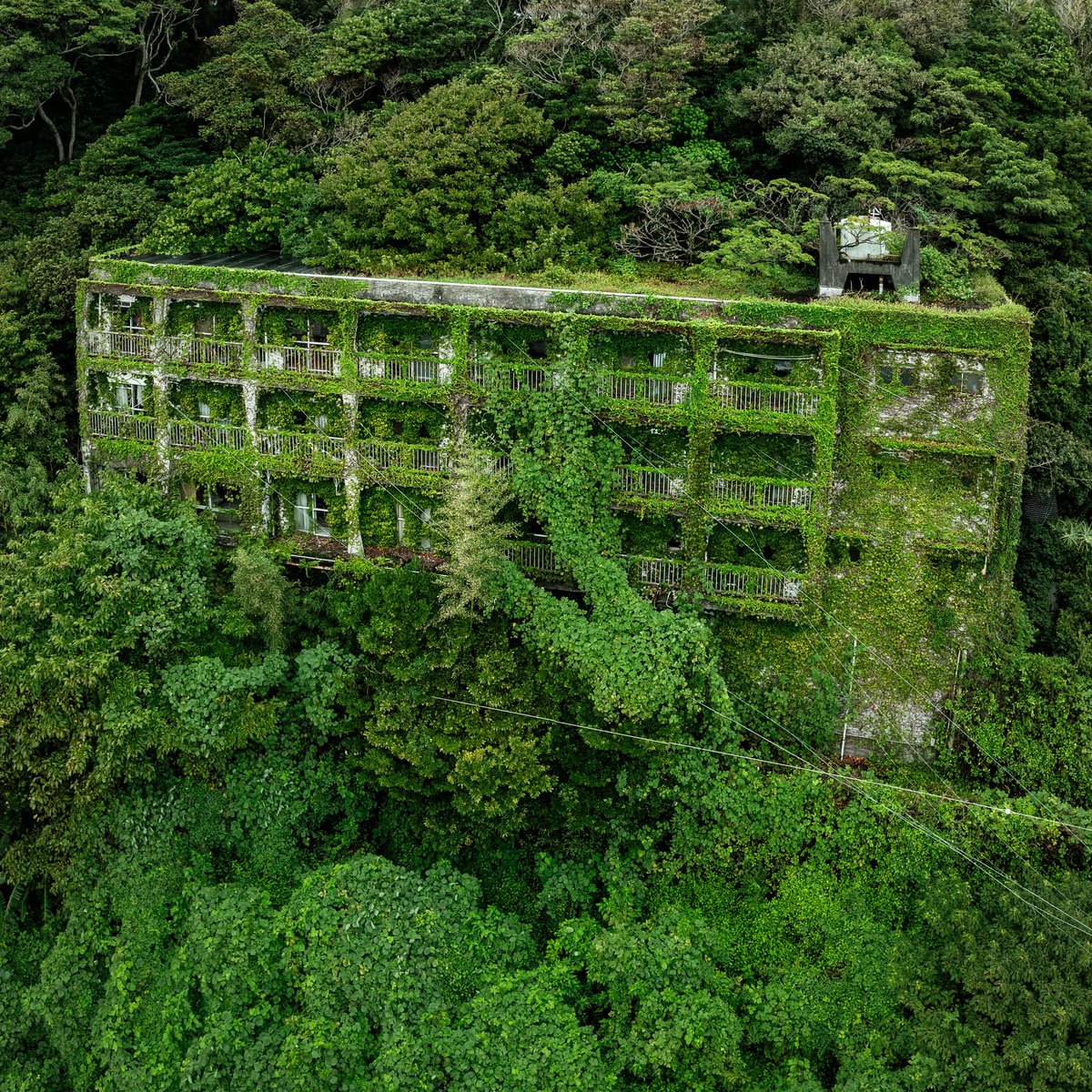 JIYUKENKYU_jp's tweet photo. これは森すぎて二度見したマンション。 https://t.co/gd6vjHb6IJ