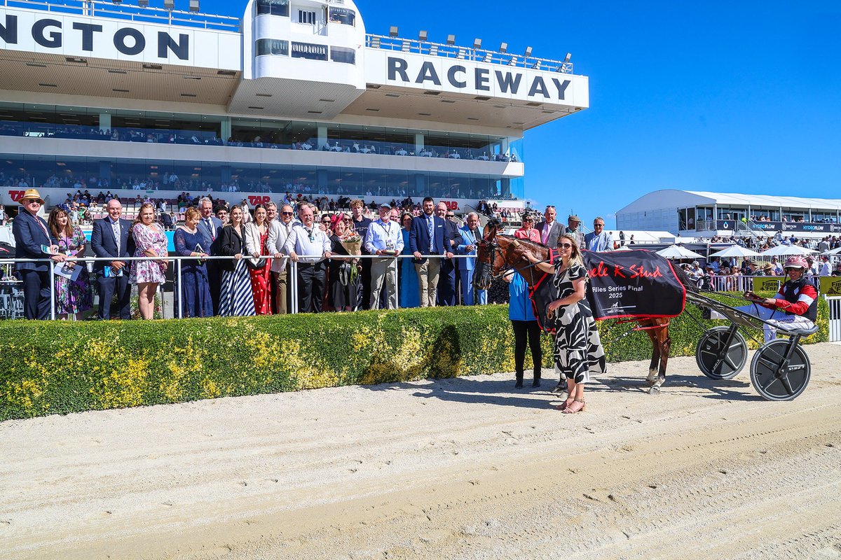 NZ Sires’ Stakes Board tweet media