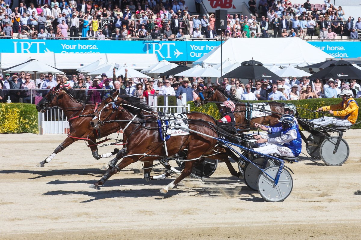NZ Sires’ Stakes Board tweet media