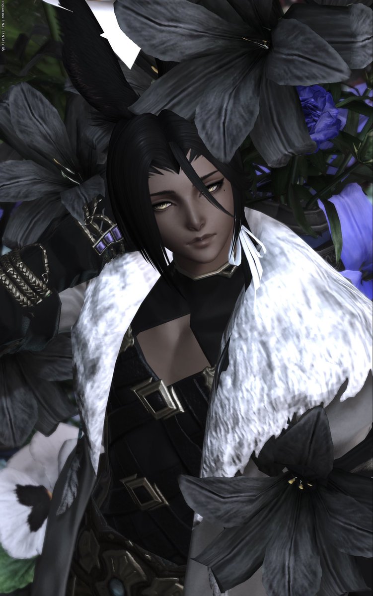 #メンテだしとにかくあなたのssが好きって思ってくれるひとと出逢うために自分の推しssをそっと置いておく 
#メンテなのでみんなのうさおが見たい
#aniusa #St_Colorful