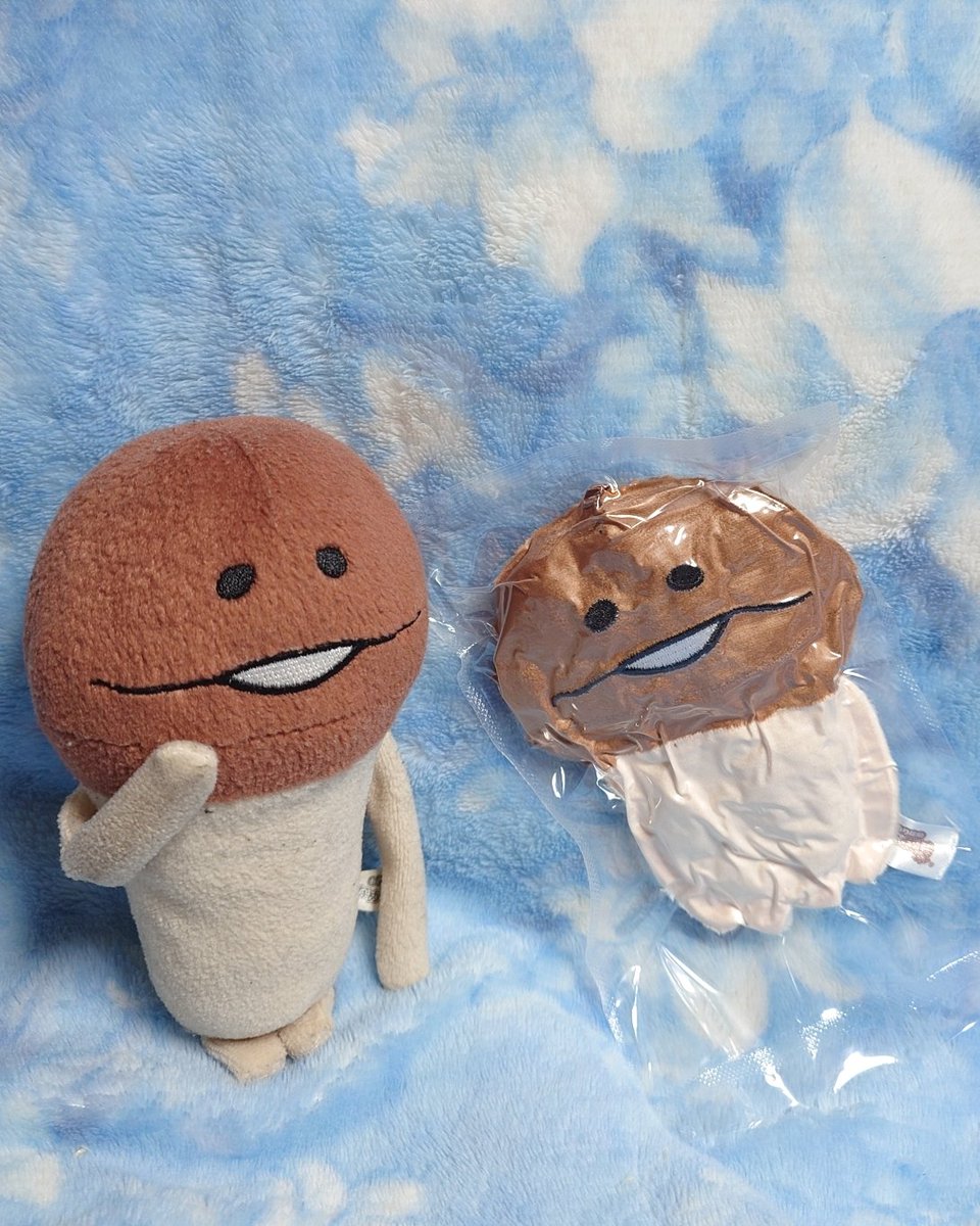 namekotsua's tweet image. 以前注文してた　#ティーズファクトリー さん ぬいぐるみマスコットが届きました！😯
（買ったことを忘れていました🤫）
袋から出した時、密封されてて最初はシワシワのペラペラでした🤣
#なめこ
#ぬいぐるみマスコット