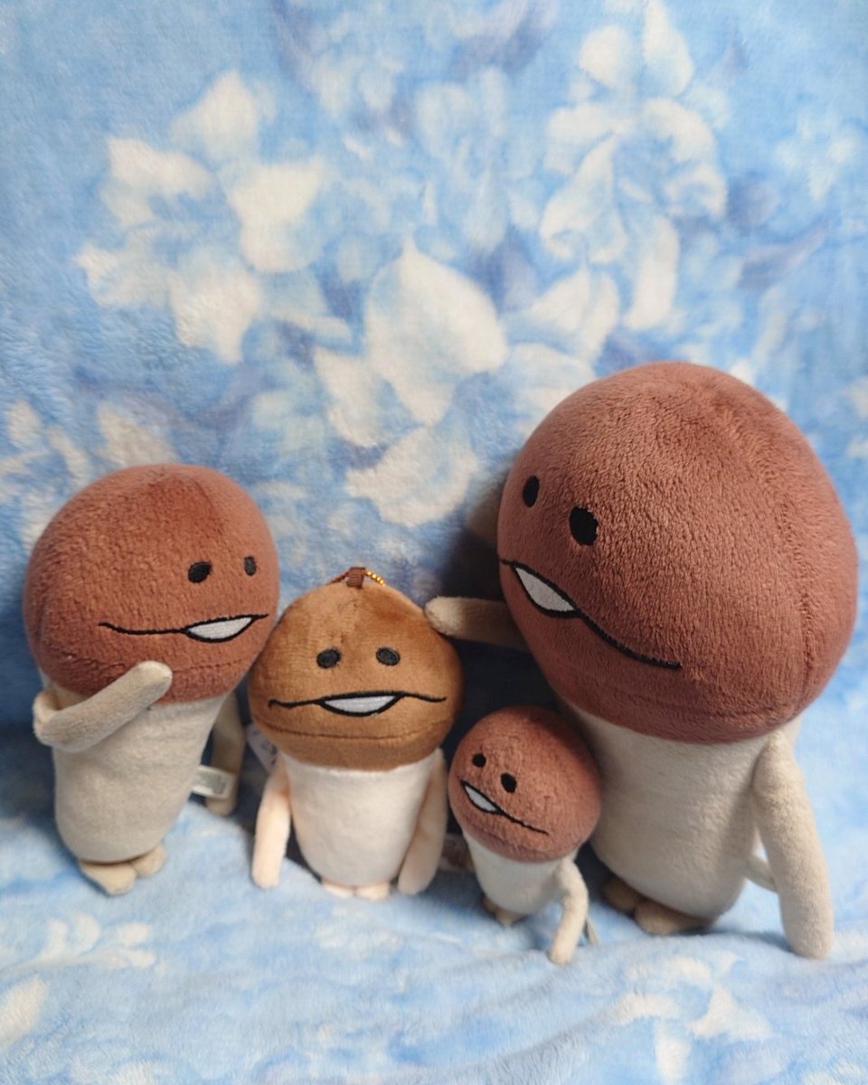 namekotsua's tweet image. 以前注文してた　#ティーズファクトリー さん ぬいぐるみマスコットが届きました！😯
（買ったことを忘れていました🤫）
袋から出した時、密封されてて最初はシワシワのペラペラでした🤣
#なめこ
#ぬいぐるみマスコット