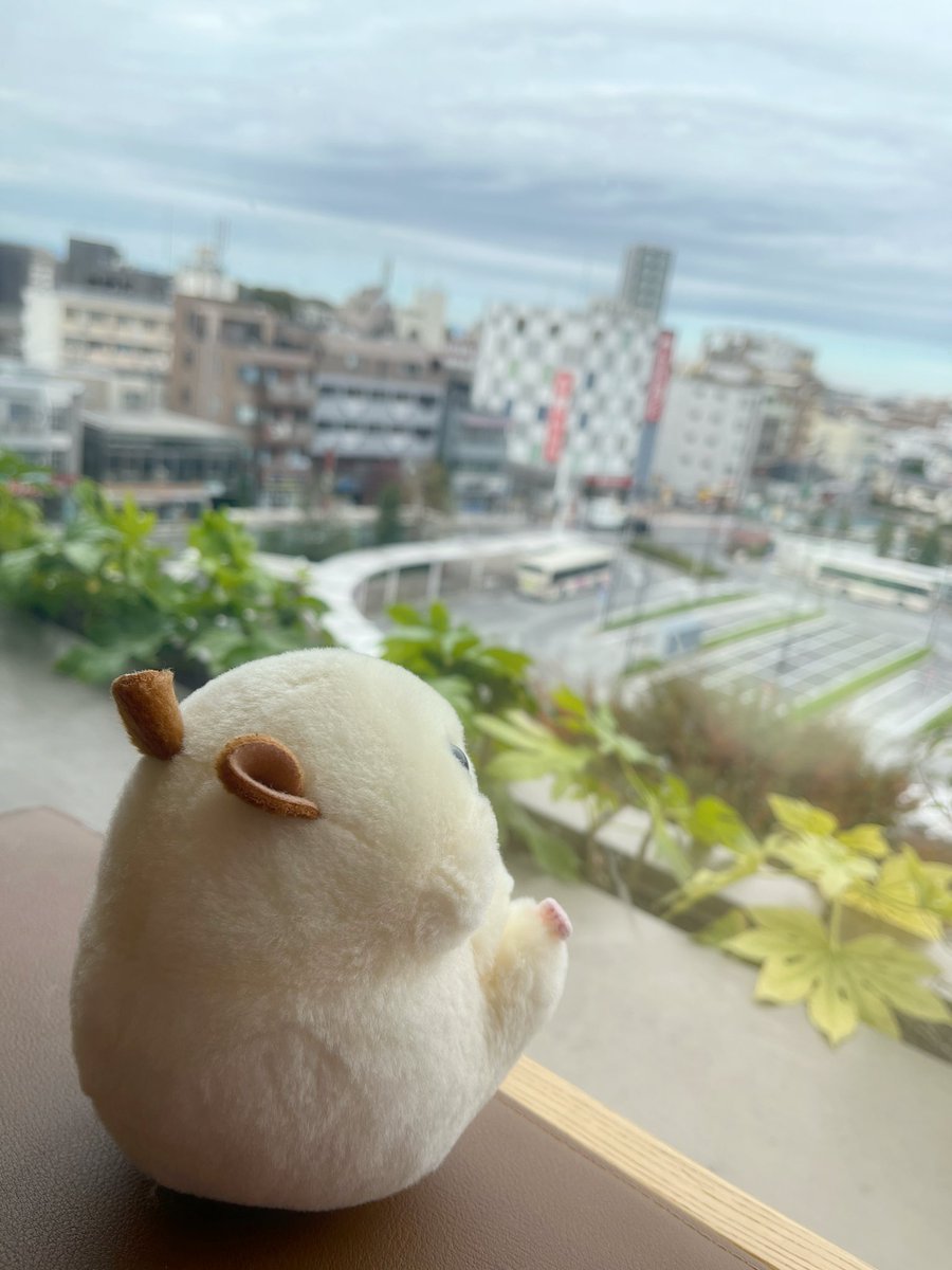 はむまる (@hamumaru_86) / Posts / X