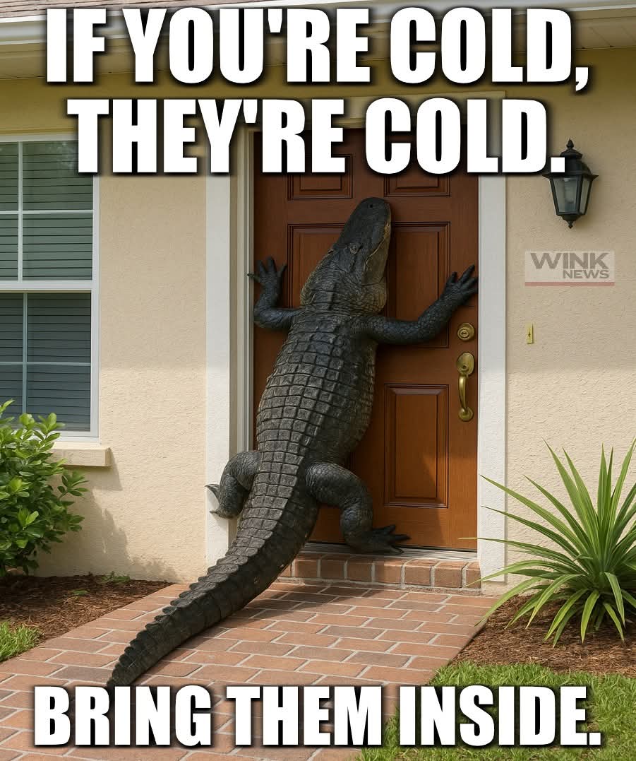 LadyDe4547's tweet photo. Remember Florida: https://t.co/TLEi8ddSVt