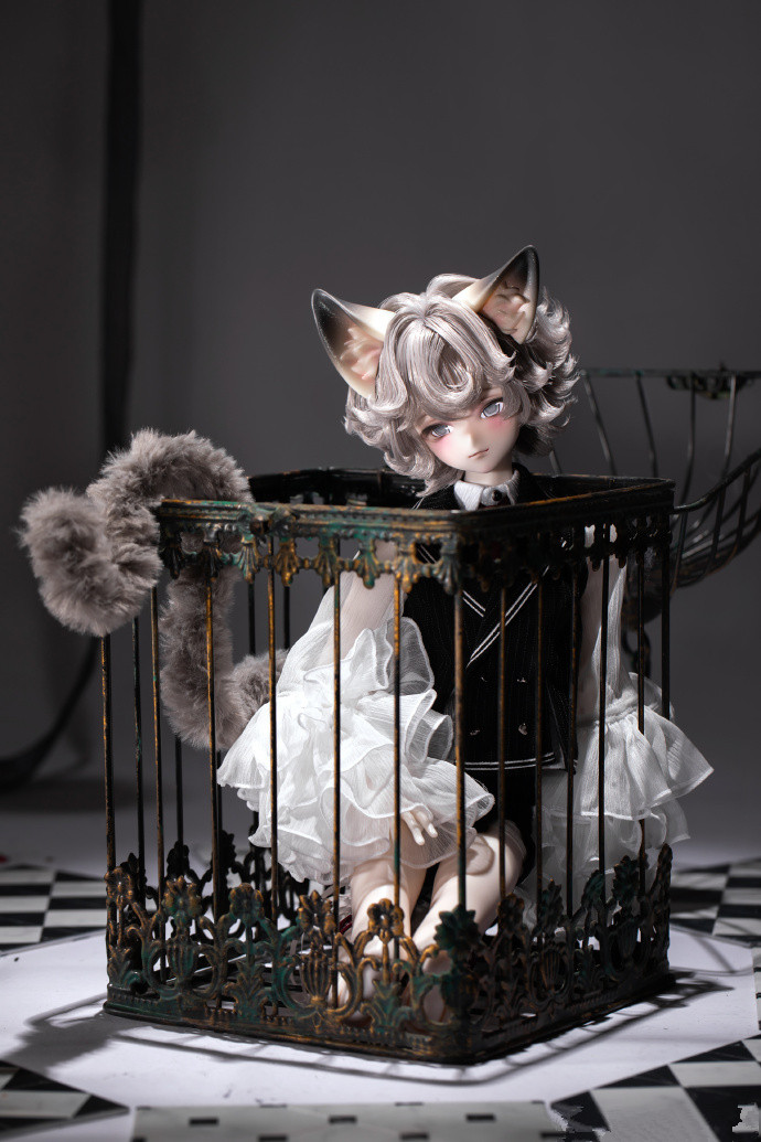 【DollZone】#新作予告📢
𝑵𝑬𝑾 ▎二次元双子“小凉&amp;小森”
公式メイク付きのフルセットは80体限定😱
まもなく受注開始する予定です！お楽しみに～✨
#BJD #legenddoll #二次元 #ドール #新作情報