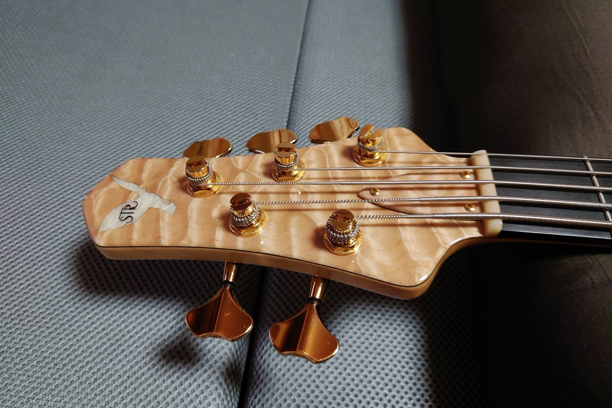 AggressPerch's tweet photo. １１月１１日ベースの日 !
１本多いですが、ＳＴＲベース
相棒、愛器です!

#ベース #ギター #ＳＴＲ #５弦ベース #bass https://t.co/7LagxJiMz9
