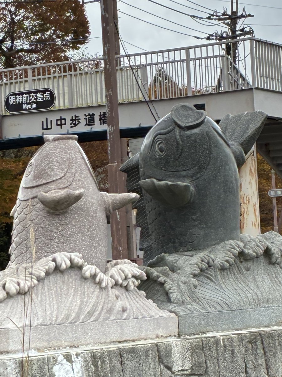 tarouyagi's tweet photo. 被食者側のすしざんまい https://t.co/17X7q5I0Am